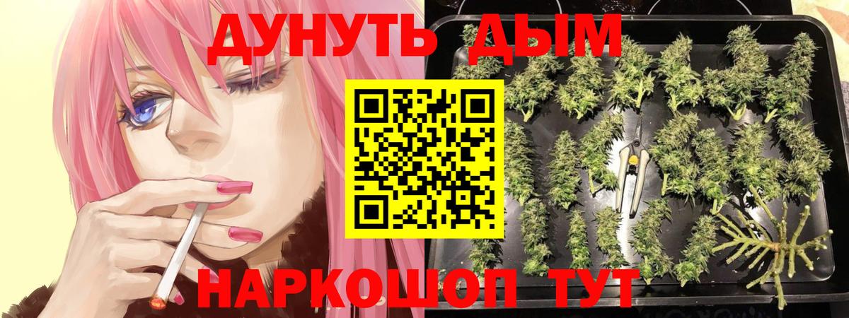 Фрязино  Конопля планчик  Каннабис конопля  Вход с VPN 